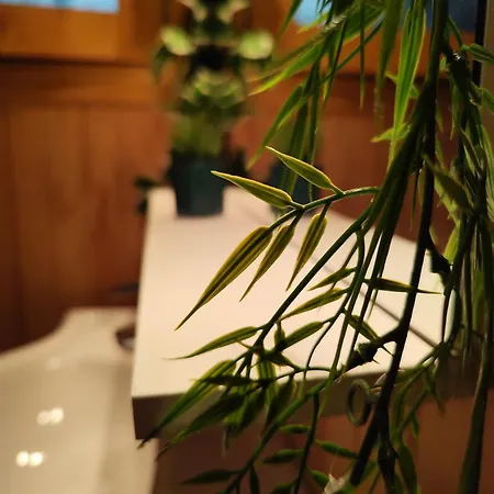 Le Logis Verdis シャレー *